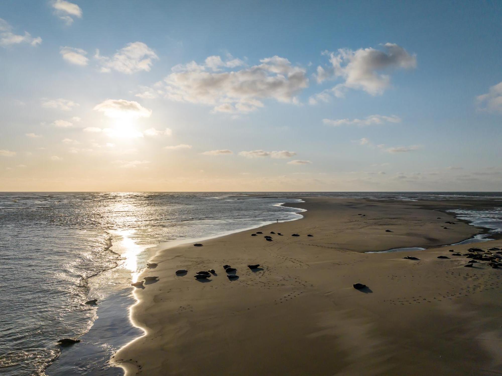 Hotel Renesse Bagian luar foto